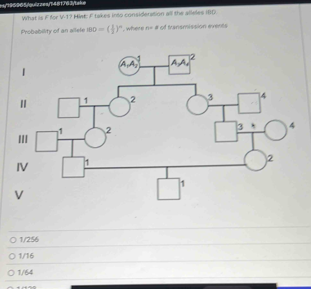 es/195965/quizzes/1481763/take
What is F for V-1? Hint: F takes into consideration all the alleles IBD.
Probability of an allele IBD=( 1/2 )^n , where n= # of transmission events
1/256
1/16
1/64