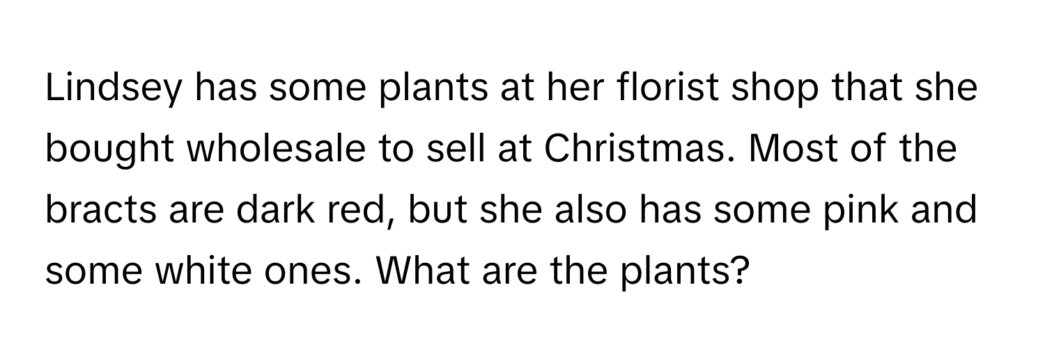 Lindsey has some plants at her florist shop that she bought wholesale to sell at Christmas. Most of the bracts are dark red, but she also has some pink and some white ones. What are the plants?