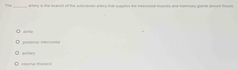 The_ artery is the branch of the subclavian artery that supplies the intercostal muscles and mammary glands (breast tissue).
aorta
posterior intercostal
axillary
internal thoracic