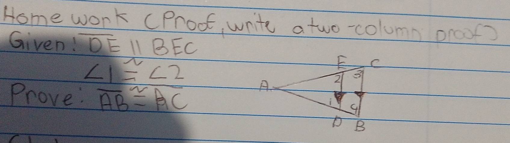 Home work (Proot, write atwo-column oroot? 
Given! overline DEparallel overline BEC
∠ 1≌ ∠ 2
Prove: overline AB≌ overline AC