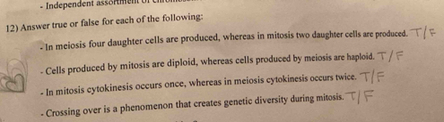 Independent assörmen Ur 
12) Answer true or false for each of the following: 
- In meiosis four daughter cells are produced, whereas in mitosis two daughter cells are produced. 
- Cells produced by mitosis are diploid, whereas cells produced by meiosis are haploid. 
- In mitosis cytokinesis occurs once, whereas in meiosis cytokinesis occurs twice. 
- Crossing over is a phenomenon that creates genetic diversity during mitosis.