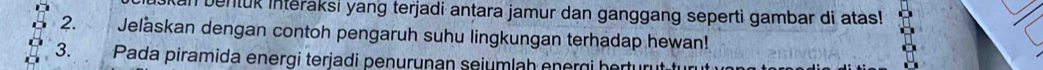 bentuk interaksi yang terjadi antara jamur dan ganggang seperti gambar di atas! 
2. Jelaskan dengan contoh pengaruh suhu lingkungan terhadap hewan! 
3. Pada piramida energi terjadi penurunan seiumlah energi hertur