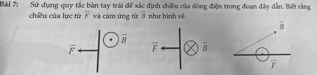 Sử dụng quy tắc bàn tay trái để xác định chiều của dòng điện trong đoạn dây dẫn. Biết rằng
chiều của lực từ overline F và cảm ứng từ vector B như hình vẽ.
vector B
vector F
vector F overline B