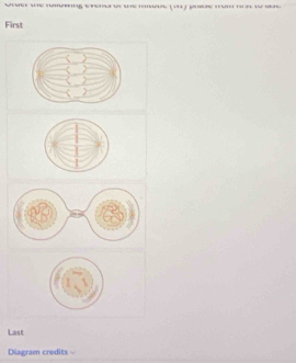 First 
Last 
Diagram credits