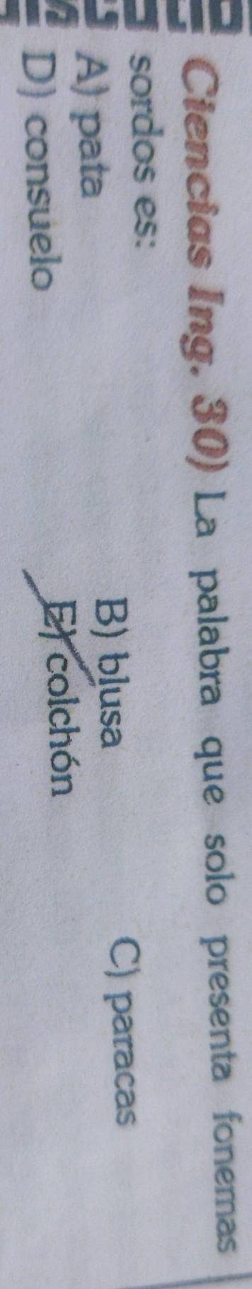 Ciencias Ing. 30) La palabra que solo presenta fonemas
sordos es:
A) pata
B) blusa C) paracas
D) consuelo E) colchón