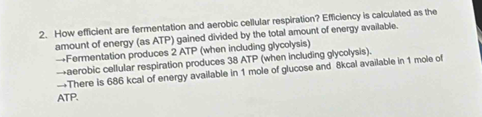 How efficient are fermentation and aerobic cellular respiration? Efficiency is calculated as the 
amount of energy (as ATP) gained divided by the total amount of energy available. 
→Fermentation produces 2 ATP (when including glycolysis) 
→aerobic cellular respiration produces 38 ATP (when including glycolysis). 
→There is 686 kcal of energy available in 1 mole of glucose and 8kcal available in 1 mole of
ATP.