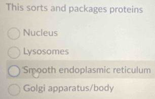 This sorts and packages proteins
Nucleus
Lysosomes
Smooth endoplasmic reticulum
Golgi apparatus/body