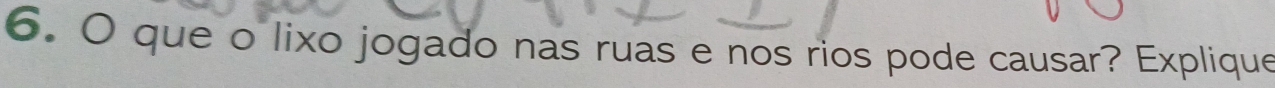 que o lixo jogado nas ruas e nos rios pode causar? Explique