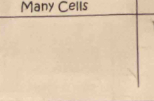 Many Cells