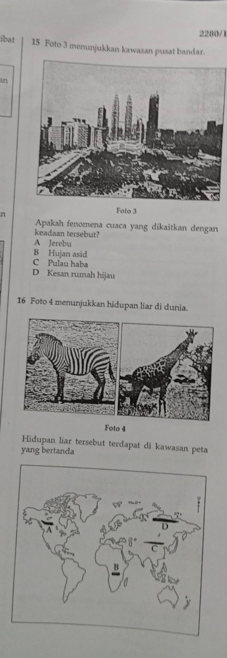 2280/1
libat 15 Foto 3 menunjukkan kawasan pusat bandar.
an
n
Foto 3
Apakah fenomena cuaca yang dikaitkan dengan
keadaan tersebut?
A Jerebu
B Hujan asid
C Pulau haba
D Kesan rumah hijau
16 Foto 4 menunjukkan hidupan liar di dunia.
Foto 4
Hidupan liar tersebut terdapat di kawasan peta
yang bertanda