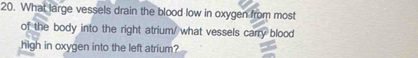 What large vessels drain the blood low in oxygen from most 
of the body into the right atrium/ what vessels carry blood 
high in oxygen into the left atrium?