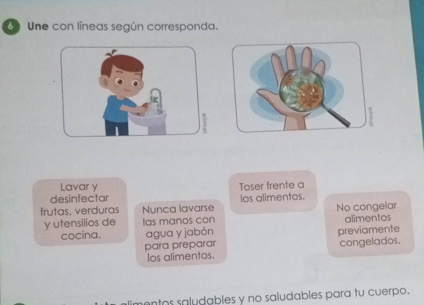 Une con líneas según corresponda. 
Lavar y Toser frente a 
desinfectar los alimentos. 
frutas, verduras Nunca lavarse 
No congelar 
y utensilios de Ias manos con 
alimentos 
cocina. agua y jabón 
previamente 
para preparar 
congelados. 
los alimentos. 
imentos saludables y no saludables para tu cuerpo.