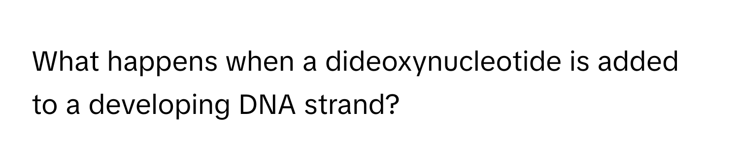 What happens when a dideoxynucleotide is added to a developing DNA strand?