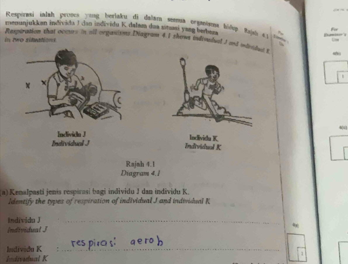 Respirasi ialah proses yang beriaku di dalam semua organisma bidup Rajah 4 Él tion
menunjukkan individa J dan individu K dalam dua sítuasi yang berbeza
For
Por
Respiration that ocaurs in all organisms Diagram 4.1 shows indivudual J and individual K in two situations.
Liee
40
1
4(c)
Individn J Individu K
Individual J
Individual K
Rajah 4.1
Diagram 4.1
(a) Kenalpasti jenis respirasi bagi individu J dan individu K.
Identify the types of respiration of individual J and individual K
Individu J _4(a)
Individual J
Individu K _
1
Individual K