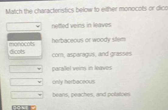 Match the characteristics below to either monocots or dico
netted veins in leaves
monocots herbaceous or woody stem
dicots com, asparagus, and grasses
parallel veins in leaves
only herbaceous
beans, peaches, and potatoes
DOME