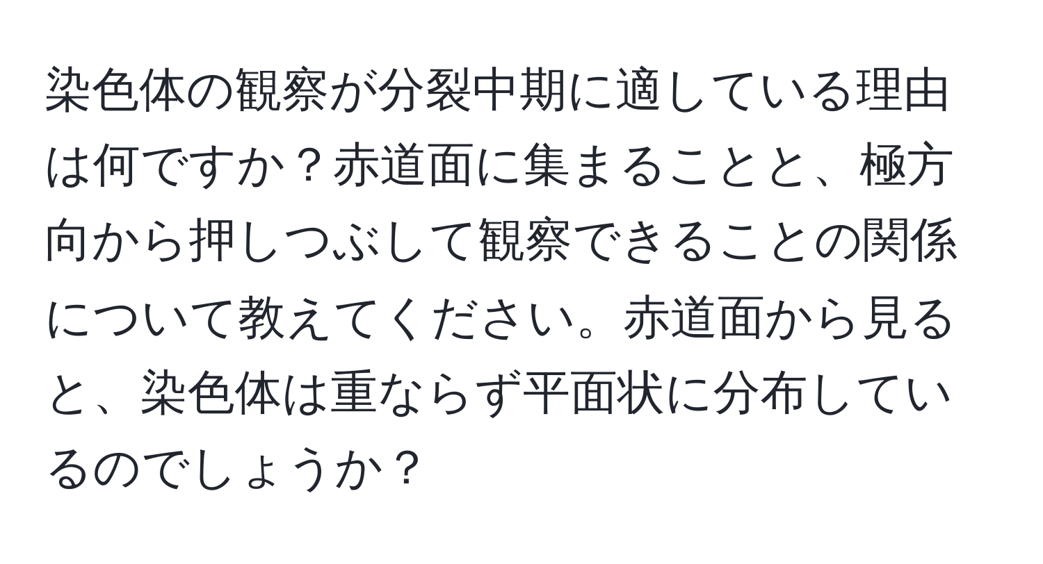 染色体の観察が分裂中期に適している理由は何ですか？赤道面に集まることと、極方向から押しつぶして観察できることの関係について教えてください。赤道面から見ると、染色体は重ならず平面状に分布しているのでしょうか？