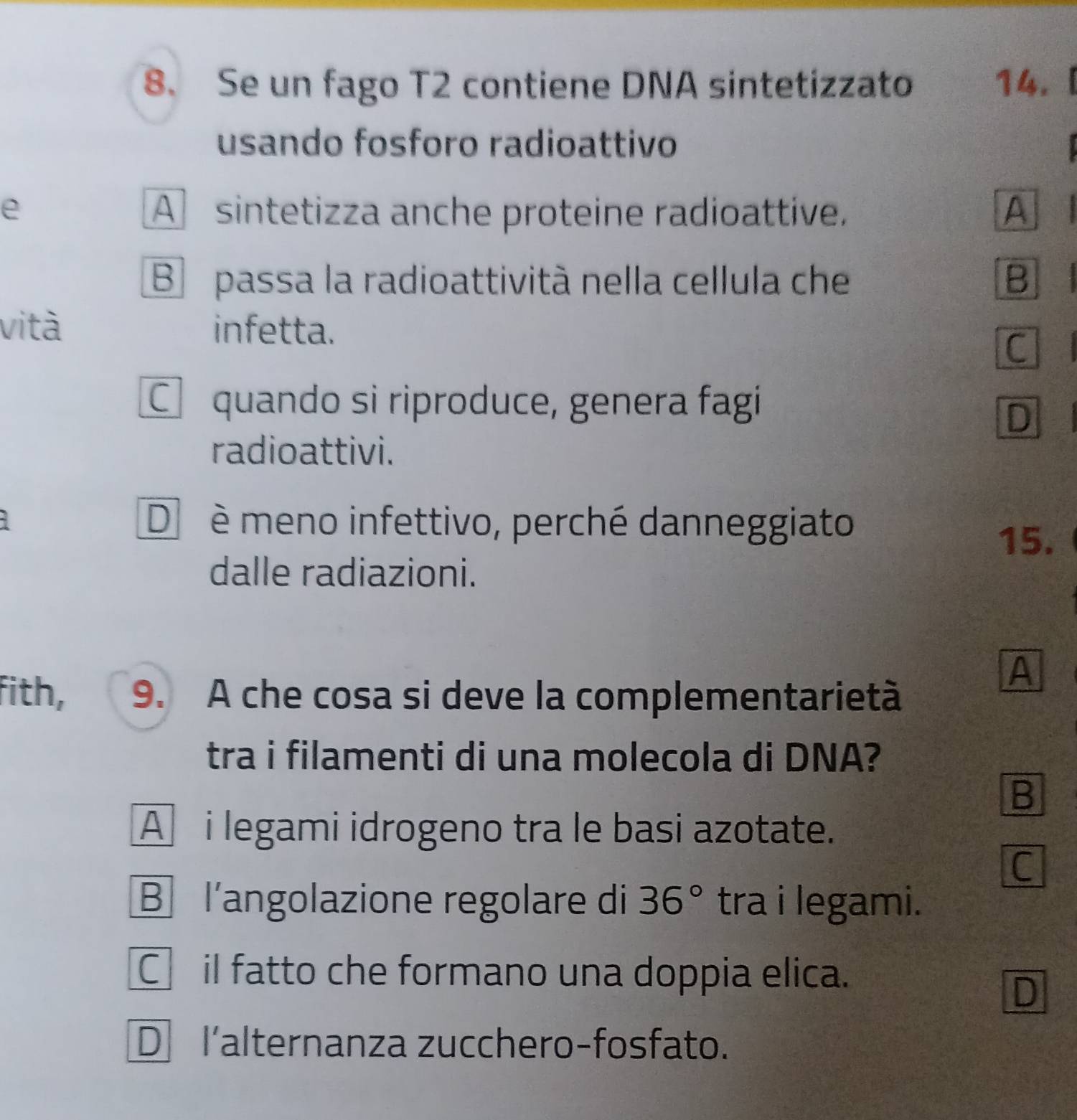 Se un fago T2 contiene DNA sintetizzato 14.
usando fosforo radioattivo
e A sintetizza anche proteine radioattive. A
B passa la radioattività nella cellula che B .
vità infetta.
C
C quando si riproduce, genera fagi
D
radioattivi.
D è meno infettivo, perché danneggiato
15.
dalle radiazioni.
fith, 9. A che cosa si deve la complementarietà
A
tra i filamenti di una molecola di DNA?
B
A i legami idrogeno tra le basi azotate.
C
B l’angolazione regolare di 36° tra i legami.
C il fatto che formano una doppia elica.
D
D l'alternanza zucchero-fosfato.