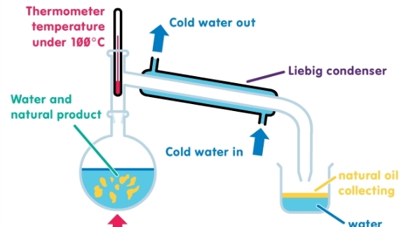 Thermometer
l
water