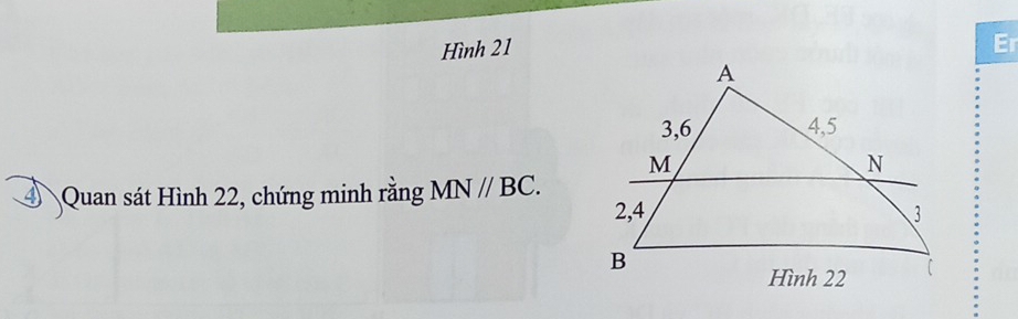 Hình 21 Er 
④ Quan sát Hình 22, chứng minh rằng MN//BC.