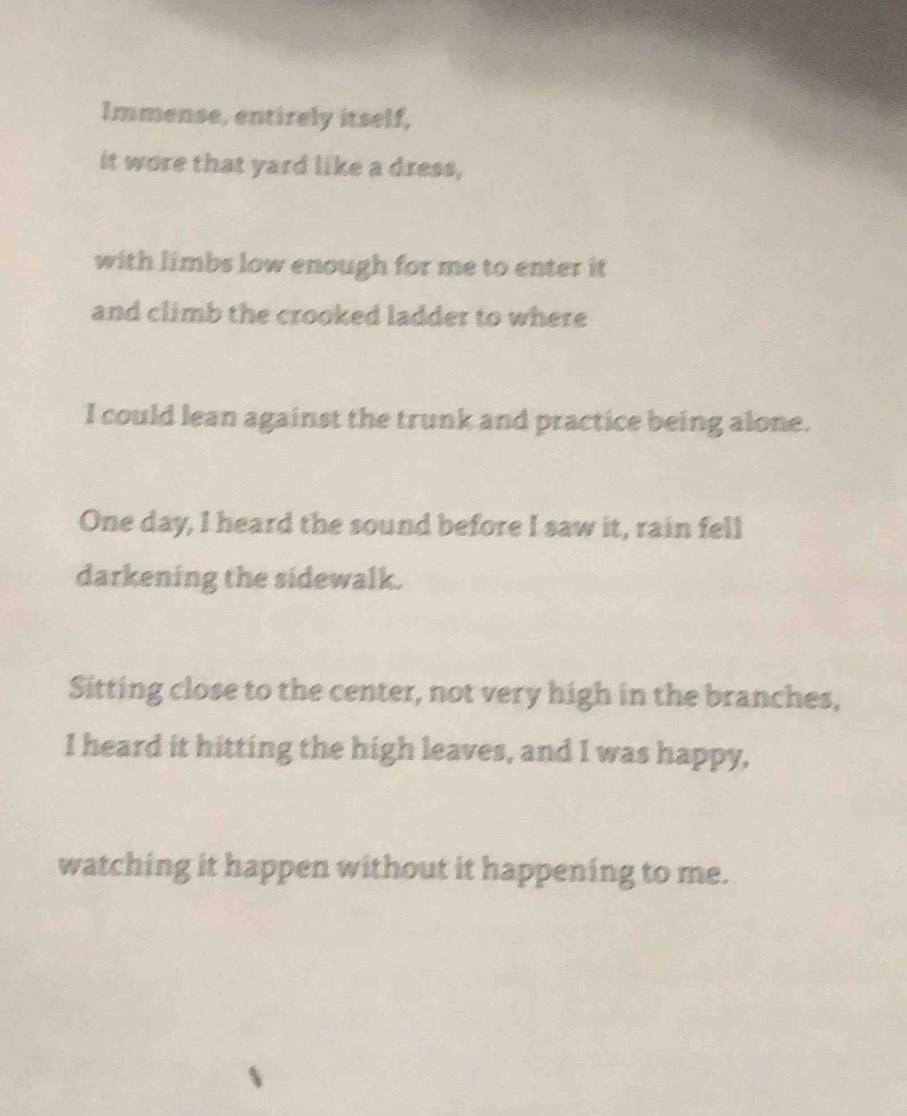 Immense, entirely itself, 
it wore that yard like a dress, 
with limbs low enough for me to enter it 
and climb the crooked ladder to where 
I could lean against the trunk and practice being alone. 
One day, I heard the sound before I saw it, rain fell 
darkening the sidewalk. 
Sitting close to the center, not very high in the branches, 
I heard it hitting the high leaves, and I was happy, 
watching it happen without it happening to me.