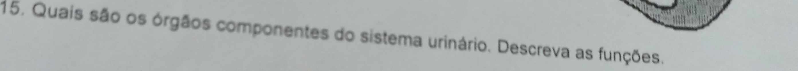 Quais são os órgãos componentes do sistema urinário. Descreva as funções.