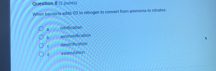 When bacteria adds 02 to nitrogen to convert from ammonia to nitrates:
a nitrification
b ammonification
C denitrification
d assimilation