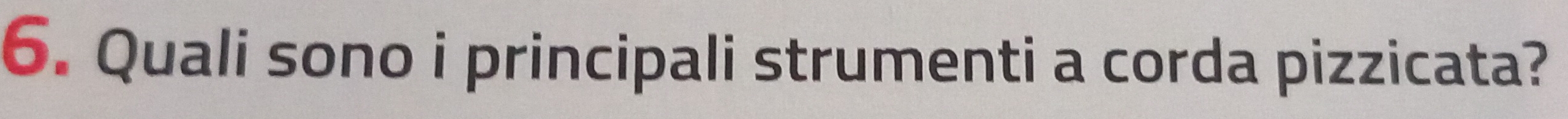 Quali sono i principali strumenti a corda pizzicata?