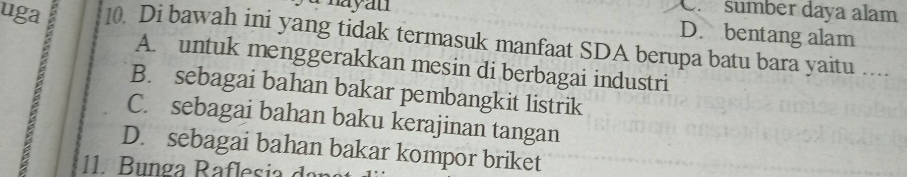 uga
C. sumber daya alam
a nayau D. bentang alam
10. Di bawah ini yang tidak termasuk manfaat SDA berupa batu bara yaitu ....
A. untuk menggerakkan mesin di berbagai industri
B. sebagai bahan bakar pembangkit listrik
C. sebagai bahan baku kerajinan tangan
D. sebagai bahan bakar kompor briket
11. Bunga Raflesia dan