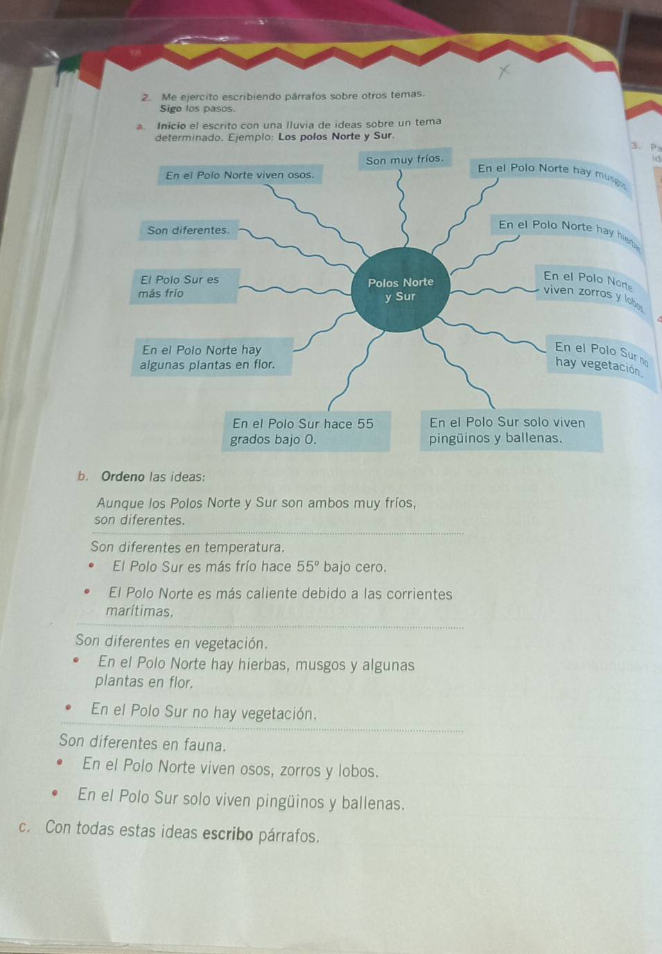 Me ejercito escribiendo párrafos sobre otros temas.
Sigo los pasos.
a. Inicio el escrito con una lluvia de ideas sobre un tema
determinado. Ejemplo: Los polos Norte y Sur
3. Pa
id
r
no
b. Ordeno las ideas:
Aunque los Polos Norte y Sur son ambos muy fríos,
son diferentes.
Son diferentes en temperatura.
El Polo Sur es más frío hace 55° bajo cero.
El Polo Norte es más caliente debido a las corrientes
marítimas.
Son diferentes en vegetación.
En el Polo Norte hay hierbas, musgos y algunas
plantas en flor.
En el Polo Sur no hay vegetación.
Son diferentes en fauna.
En el Polo Norte viven osos, zorros y lobos.
En el Polo Sur solo viven pingüinos y ballenas.
c. Con todas estas ideas escribo párrafos.