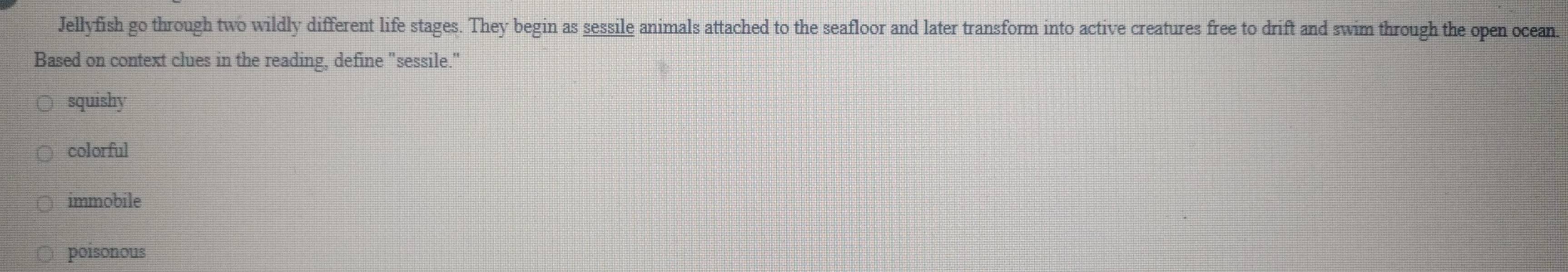 Jellyfish go through two wildly different life stages. They begin as sessile animals attached to the seafloor and later transform into active creatures free to drift and swim through the open ocean.
Based on context clues in the reading, define "sessile."
squishy
colorful
immobile
poisonous