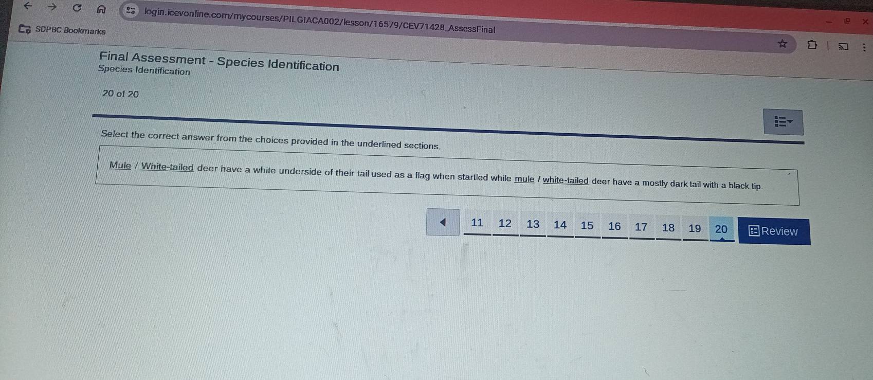 Solved: SDPBC Bookmarks Final Assessment - Species Identification ...
