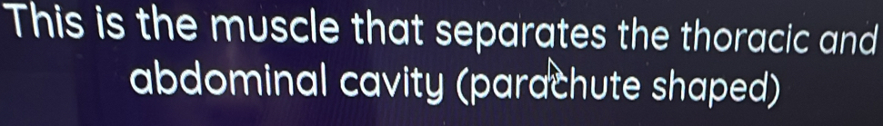 This is the muscle that separates the thoracic and 
abdominal cavity (parachute shaped)
