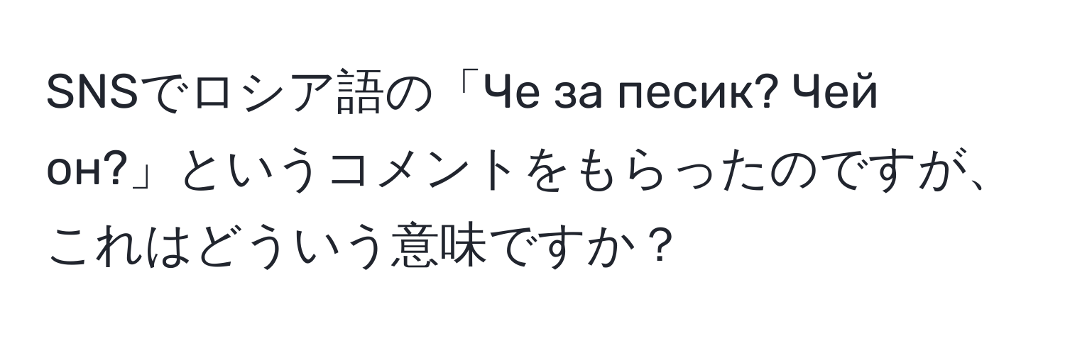 SNSでロシア語の「Че за песик? Чей он?」というコメントをもらったのですが、これはどういう意味ですか？