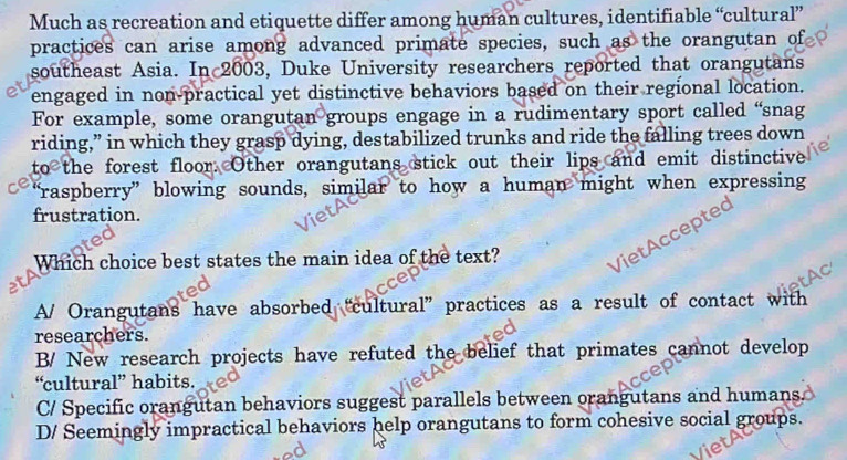 Much as recreation and etiquette differ among human cultures, identifiable “cultural”
practices can arise among advanced primate species, such as the orangutan of
southeast Asia. In 2003, Duke University researchers reported that orangutans
engaged in non-practical yet distinctive behaviors based on their regional location.
For example, some orangutan groups engage in a rudimentary sport called “snag
riding,” in which they grasp dying, destabilized trunks and ride the falling trees down
to the forest floor. Other orangutans stick out their lips and emit distinctive
raspberry” blowing sounds, similar to how a human might when expressing
frustration.
Which choice best states the main idea of the text?
A/ Orangutans have absorbed “cultural” practices as a result of contact with
researchers.
B/ New research projects have refuted the belief that primates cannot develop
“cultural” habits.
C/ Specific orangutan behaviors suggest parallels between orangutans and humans.
D/ Seemingly impractical behaviors help orangutans to form cohesive social groups.