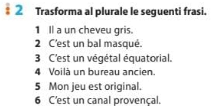 Trasforma al plurale le seguenti frasi. 
1 Il a un cheveu gris. 
2 C'est un bal masqué. 
3 C'est un végétal équatorial. 
4 Voilà un bureau ancien. 
5 Mon jeu est original. 
6 C'est un canal provençal.