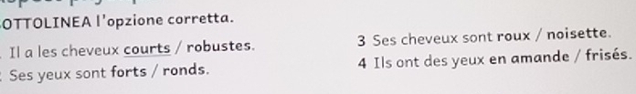 OTTOLINEA l'opzione corretta. 
Il a les cheveux courts / robustes. 3 Ses cheveux sont roux / noisette. 
Ses yeux sont forts / ronds. 4 Ils ont des yeux en amande / frisés.