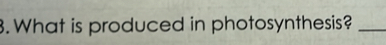 What is produced in photosynthesis?_