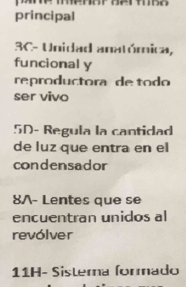 principal
3C- Unidad anatómica,
funcional y
reproductora de todo
ser vivo
5D- Regula la cantidad
de luz que entra en el
condensador
8/- Lentes que se
encuentran unidos al
revólver
11H- Sistera formado