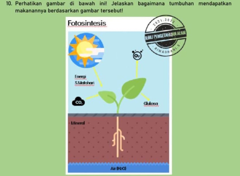 Perhatikan gambar di bawah ini! Jelaskan bagaimana tumbuhan mendapatkan 
makanannya berda 
Air (H2O)