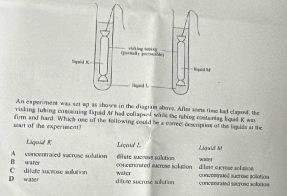 An experiment ws shown in the diagram above. After some time had clapsed, the
visking tubing containing liquid M had collapsed while the tubing containing liquid K was
firm and hard. Which one of the following could be a correct description of the liquids at the
start of the experiment?
Liquid K Liquid L Liquid M
A concentrated sucrose solution dilute sucrose solution water
B water concentrated sucrose solution dilute sucrose solution
C dilute sucrose solution walcr concentrated sucrose solution
D water dilute sucrose solution concentrated sucrose solution