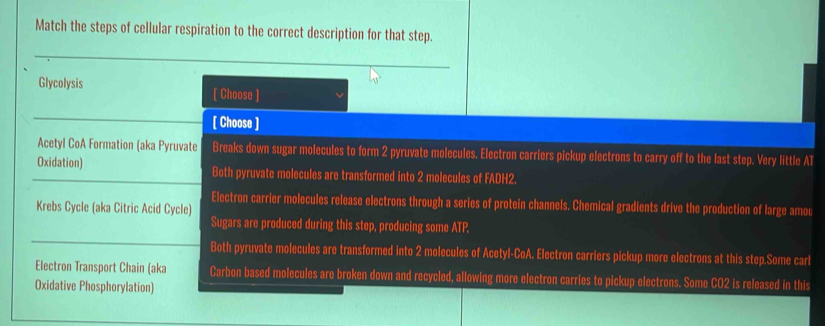 Match the steps of cellular respiration to the correct description for that step.
Glycolysis [ Choose ]
[ Choose ]
Acetyl CoA Formation (aka Pyruvate Breaks down sugar molecules to form 2 pyruvate molecules. Electron carriers pickup electrons to carry off to the last step. Very little AT
Oxidation) Both pyruvate molecules are transformed into 2 molecules of FADH2.
Electron carrier molecules release electrons through a series of protein channels. Chemical gradients drive the production of large amou
Krebs Cycle (aka Citric Acid Cycle)
Sugars are produced during this step, producing some ATP.
Both pyruvate molecules are transformed into 2 molecules of Acetyl-CoA. Electron carriers pickup more electrons at this step.Some carl
Electron Transport Chain (aka Carbon based molecules are broken down and recycled, allowing more electron carries to pickup electrons. Some CO2 is released in this
Oxidative Phosphorylation)