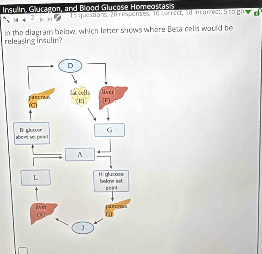 Insulin, Glucagon, and Blood Glucose Homeostasis 
2 15 questions, 28 responses, 10 correct, 18 incorrect, 5 to go
In the diagram below, which letter shows where Beta cells would be 
releasing insulin?