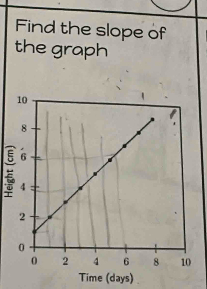 Find the slope of 
the graph
5
Time (days)