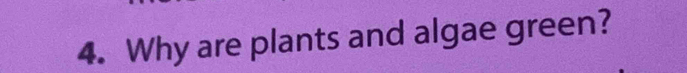 Why are plants and algae green?