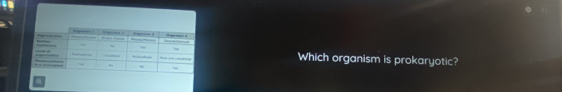 Which organism is prokaryotic? 
@