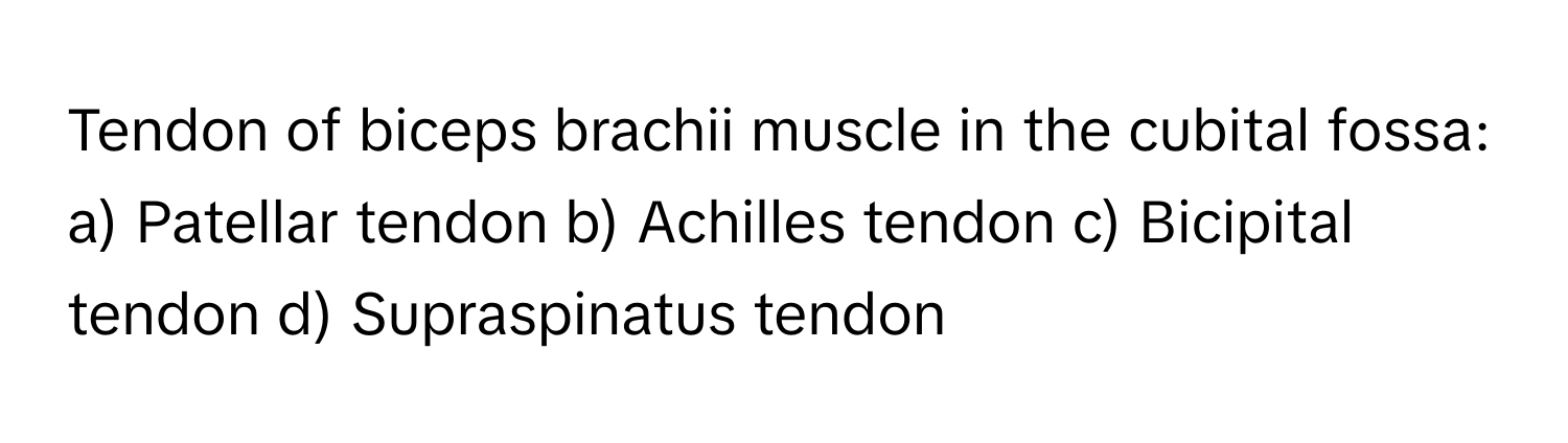 Tendon of biceps brachii muscle in the cubital fossa:

a) Patellar tendon b) Achilles tendon c) Bicipital tendon d) Supraspinatus tendon