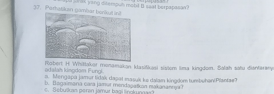 berpapasan ? 
upajarak yang ditempuh mobil B saat berpapasan? 
37. Perhatikan gamba 
Robert H Whittaker menamakan klasifikasi sistem lima kingdom. Salah satu diantarany 
adalah kingdom Fungi. 
a. Mengapa jamur tidak dapat masuk ke dalam kingdom tumbuhan/Plantae? 
b. Bagaimana cara jamur mendapatkan makanannya? 
c. Sebulkan peran jamur bagi linqkungan?