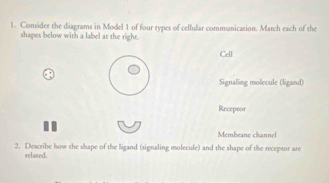 Solved: Consider the diagrams in Model 1 of four types of cellular ...