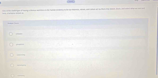 td
One of the chalienges of having a diverse workforce is the human tendency to let our interests, values, and culture act as filters that distort, block, and select what we see and
hear, a behavior known as
Muttple Chosce
cohestion.
grouptvnk
outsourcing
marectyoing