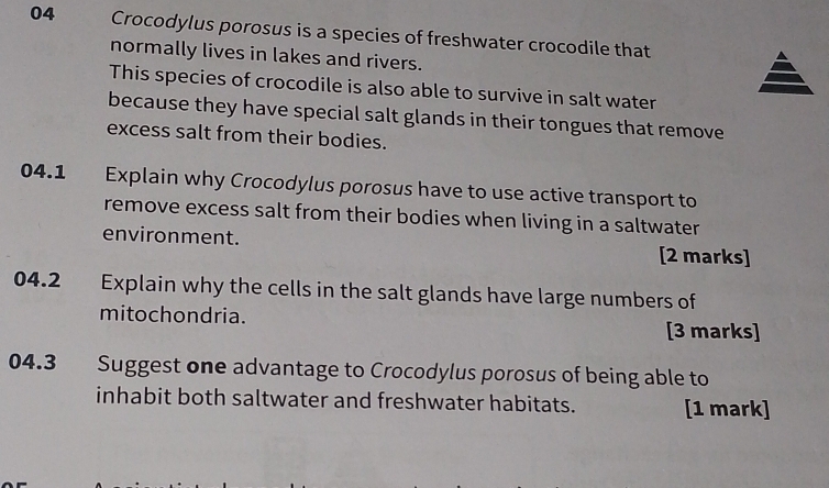 Crocodylus porosus is a species of freshwater crocodile that 
normally lives in lakes and rivers. 
This species of crocodile is also able to survive in salt water 
because they have special salt glands in their tongues that remove 
excess salt from their bodies. 
04.1 Explain why Crocodylus porosus have to use active transport to 
remove excess salt from their bodies when living in a saltwater 
environment. [2 marks] 
04.2 Explain why the cells in the salt glands have large numbers of 
mitochondria. 
[3 marks] 
04.3 Suggest one advantage to Crocodylus porosus of being able to 
inhabit both saltwater and freshwater habitats. [1 mark]